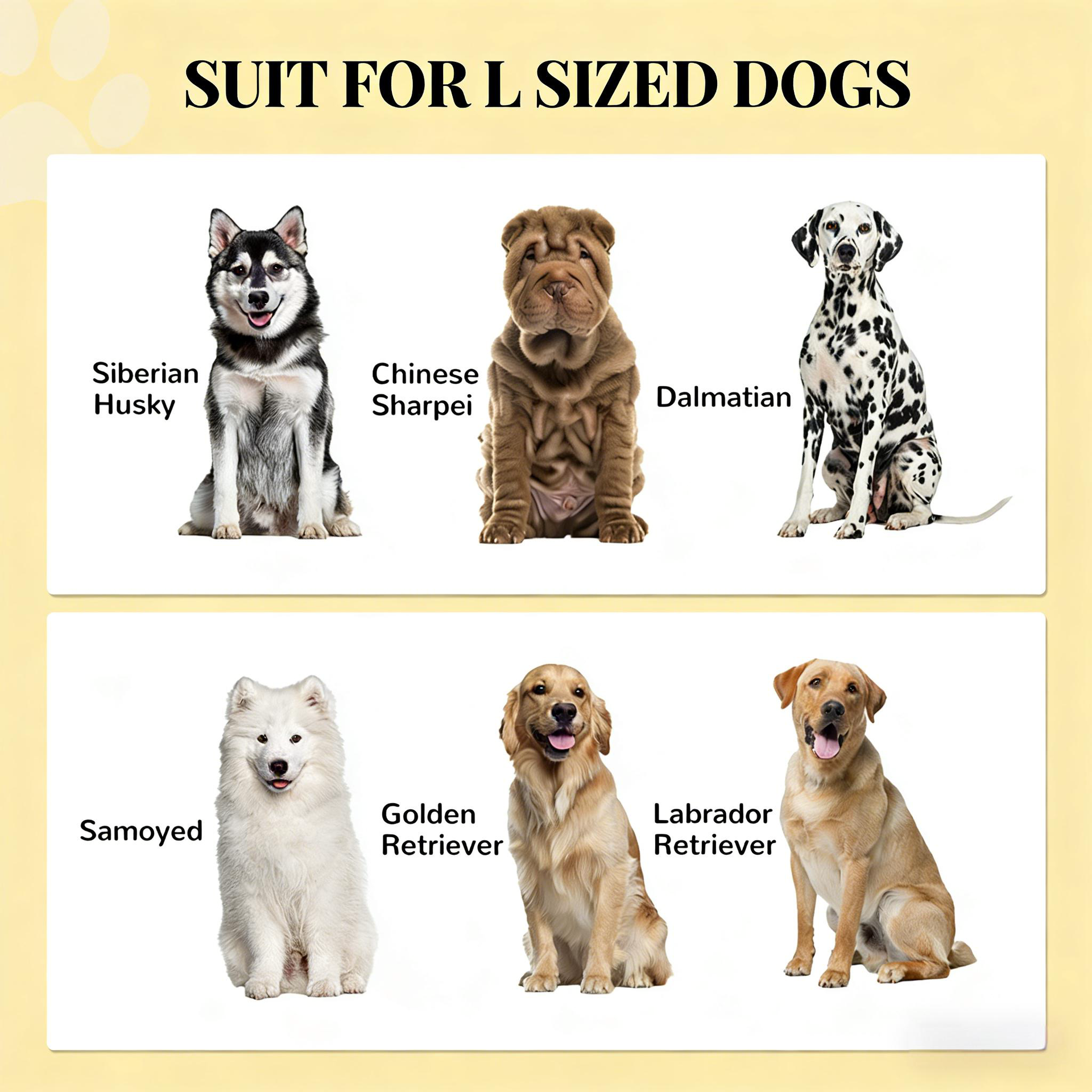 Dog Feeding Station,Dog Food Storage Cabinet