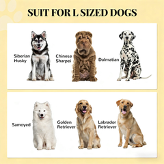 Dog Feeding Station,Dog Food Storage Cabinet