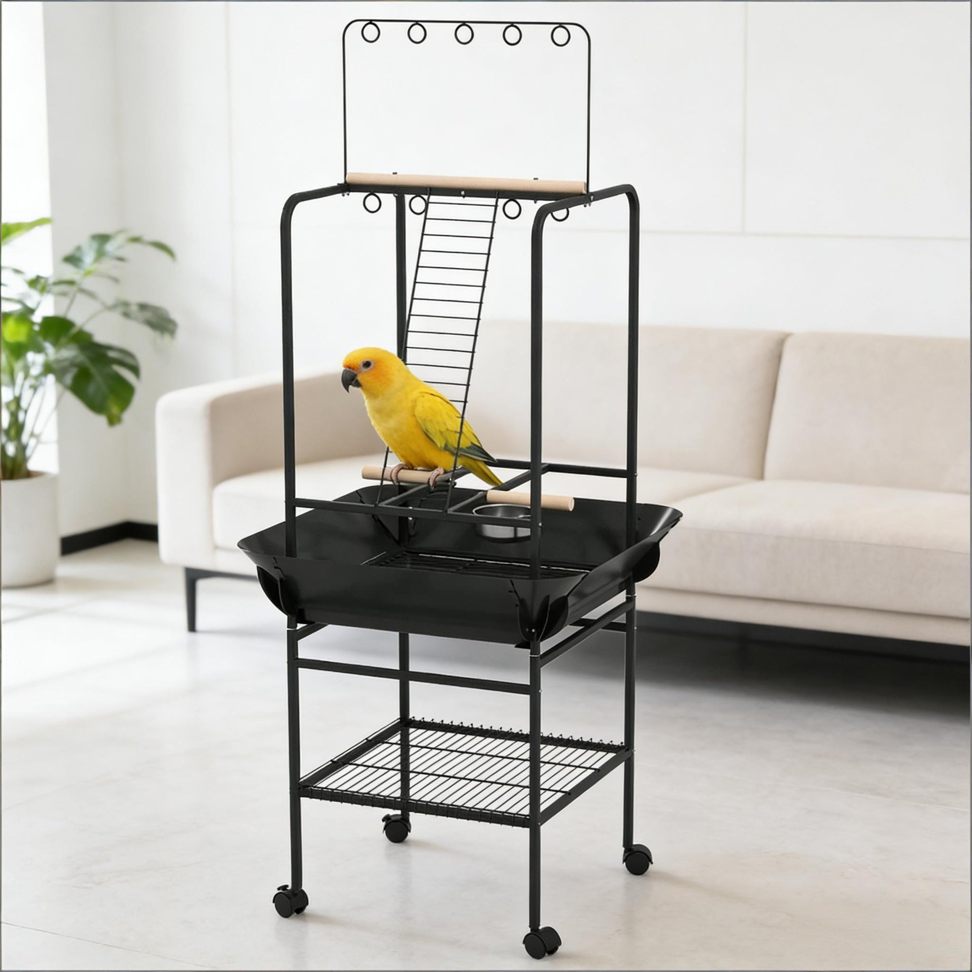 Bird Stand,Bird Stand with Wheels