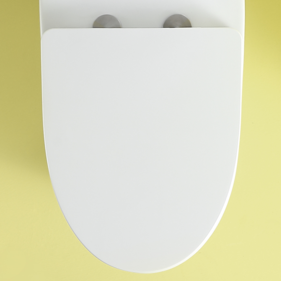 Soft-close Toilet Seat Only, 23T01-GWP01