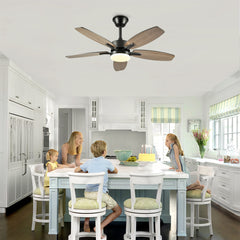 48" 5PCS  Plywood Blades Ceiling Fan with Lights Remote Control,Quiet DC Motor  Ceiling Fans 6 Speed Levels,Reversible Ceiling Fan,for Patio Living Room, Bedroom, Office,Indoor.(Matte Black)