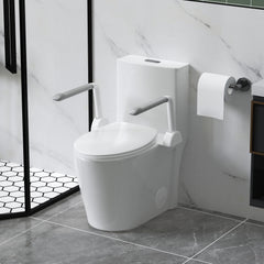 UPGRADED DESIGN Armrest, With 1.1/1.6 GPF Tornado Flush One-Piece Toilet, Siphonic S-trap 12", Soft Close Seat,Dual Flush MAP 1000g,Comfort Chair Seat ADA Height 17",Glossy White GW-007