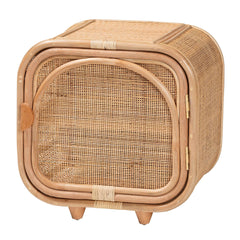 Bohemian Natural Rattan and Mahogany Wood Nightstand