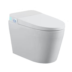Tankless Smart Toilet With Bidet Built In, One-piece Bidet Toilet Seat, Auto Flush,Heated Seat, Warm Water and Dry, Adjustable Temp,Remote Control Side Know