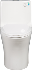 One-Piece Toilet, 1.1/1.60 GPF Water-Efficient Dual-Flush Elongated Comfort Height Floor Mounted, ADA Compliant Toilet with Soft Closing Seat Included