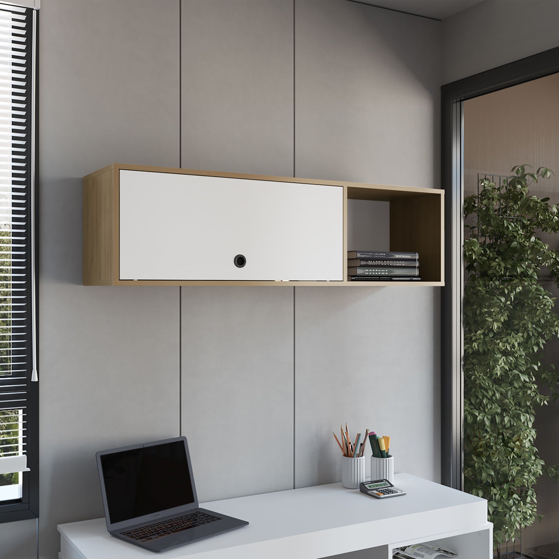 Wall Cabinet, 1 Door, 3 Shelves