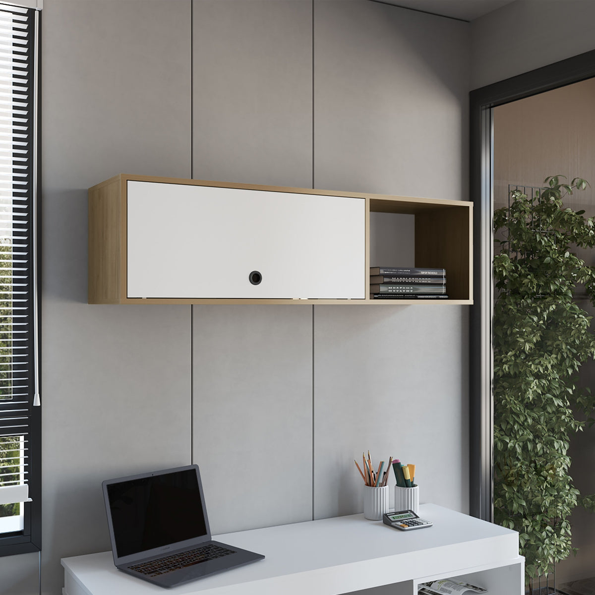 Wall Cabinet, 1 Door, 3 Shelves