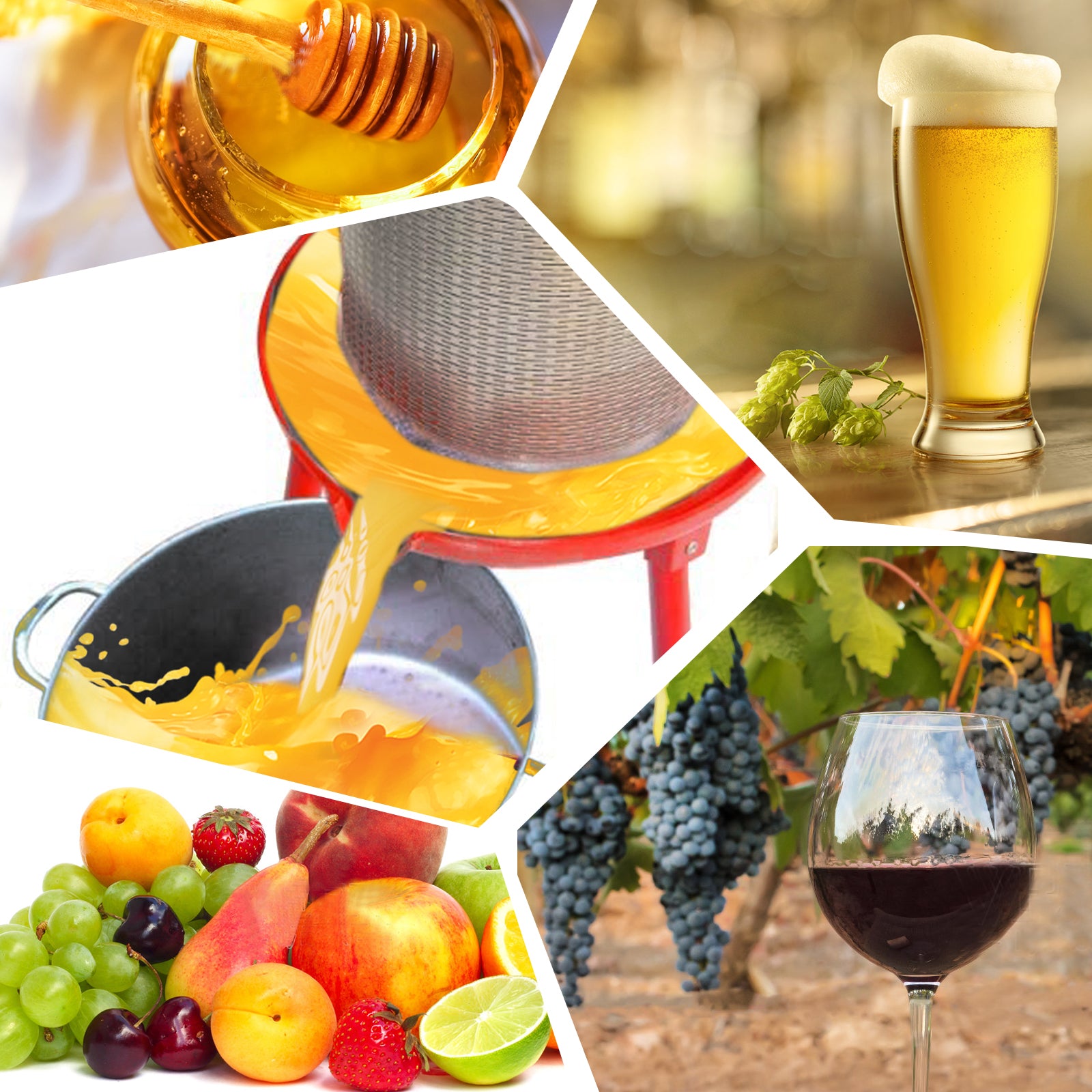 Hydraulic Fruit Wine Apple Press 10.7Gallon/40L -Stainless Steel for Wine Cider Making