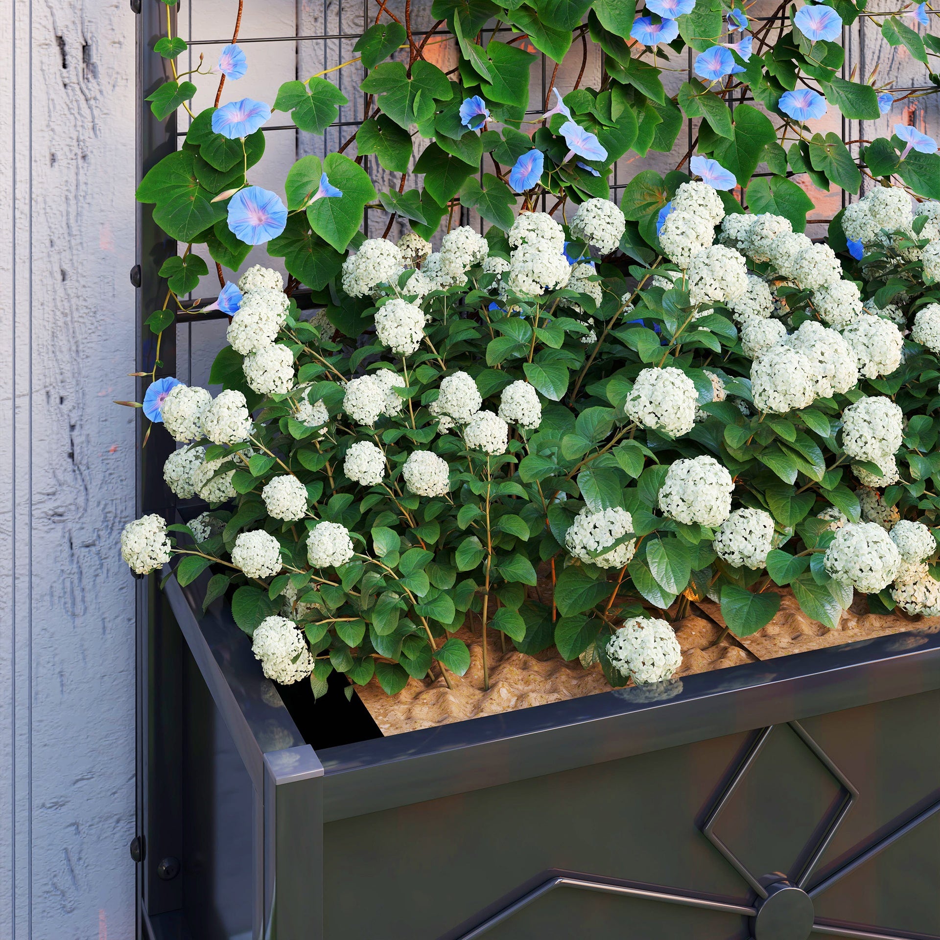 Outsunny Outdoor Planter Box Galvanized Raised Garden Bed with Trellis for Climbing Vines, 35.4" x 15.7" x 47.2", Black