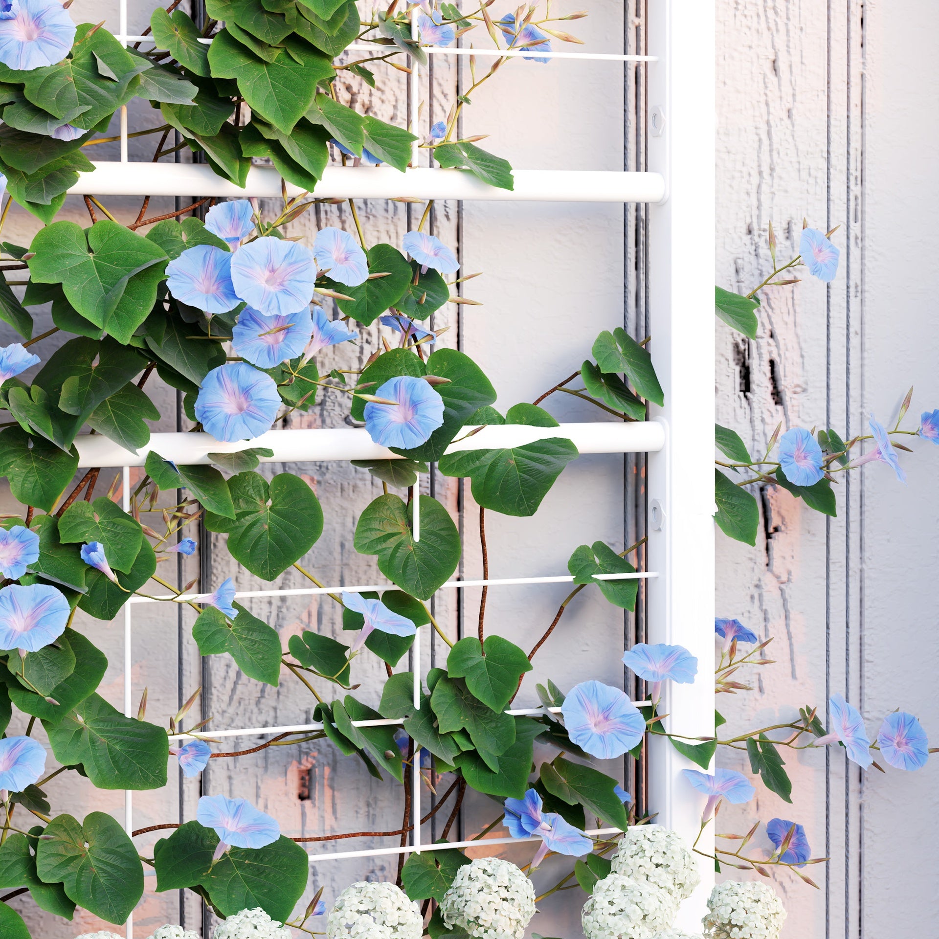 Outsunny Outdoor Planter Box Galvanized Raised Garden Bed with Trellis for Climbing Vines, 35.4" x 15.7" x 47.2", White