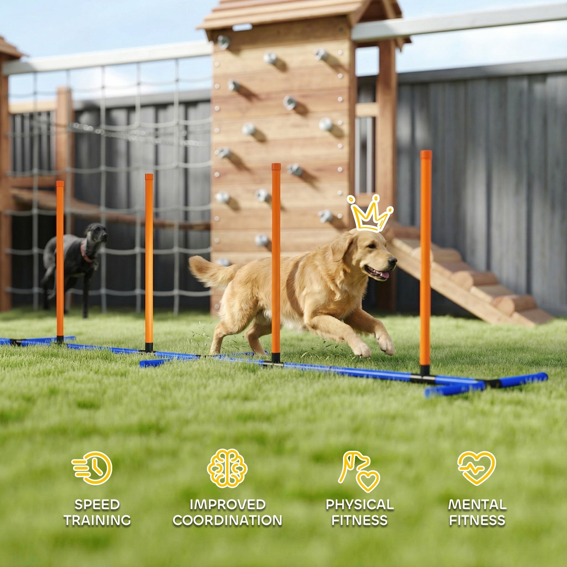 PawHut Dog Agility Training Equipment Adjustable Poles for Dog Agility Course with Carry Bag
