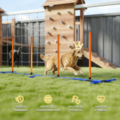 PawHut Dog Agility Training Equipment Adjustable Poles for Dog Agility Course with Carry Bag