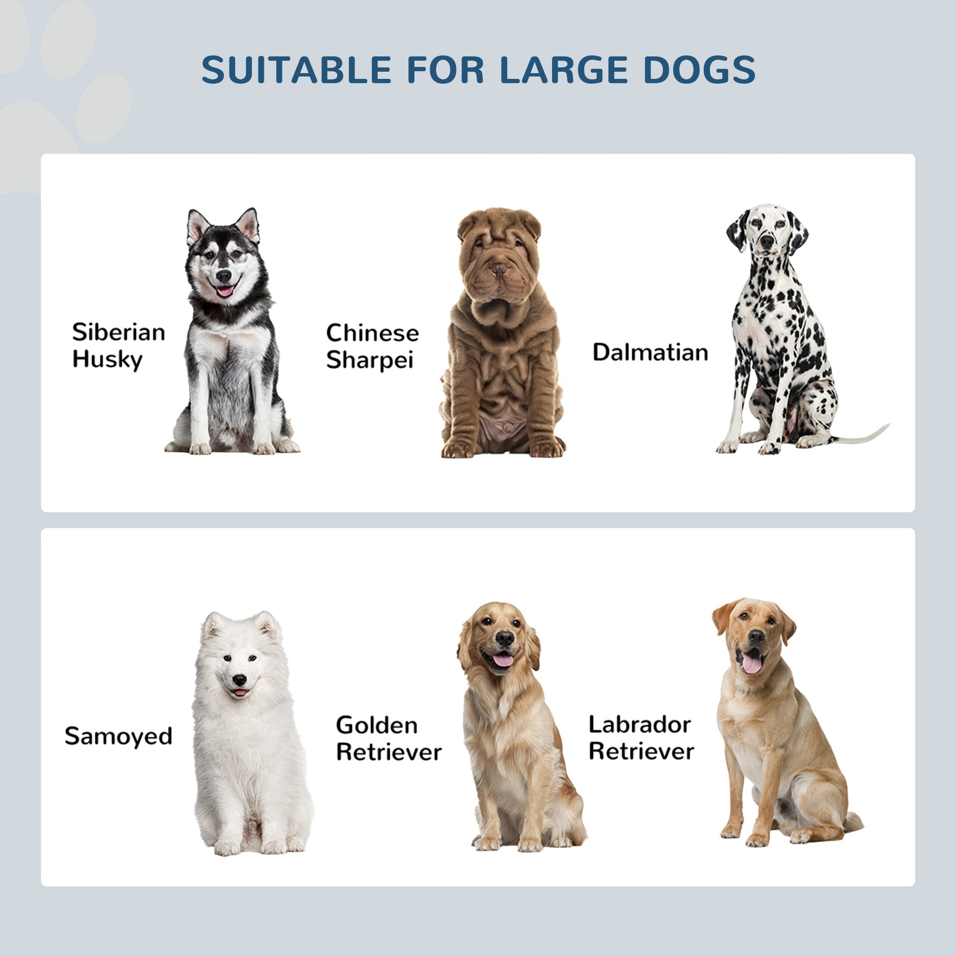 PawHut Large Elevated Dog Bowls with Storage Cabinet Containing Large 44L Capacity, Raised Dog Bowl Stand Pet Food Bowl Pet Feeding Station, White