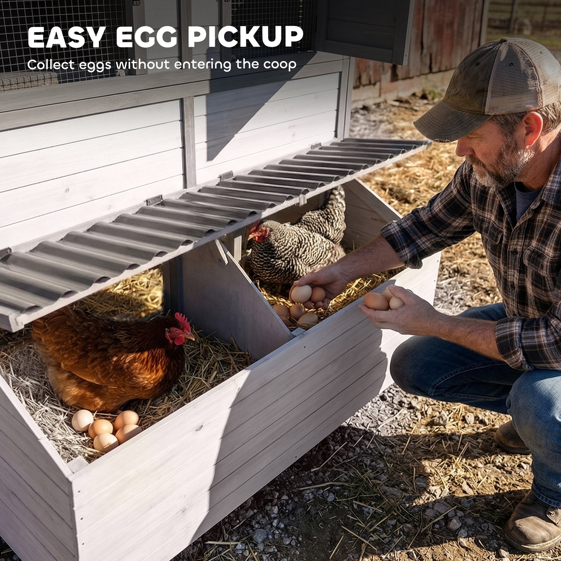 PawHut 147" Extra Wooden Large Chicken Coop with Run for 8–10 Hens, Predator-Proof Mesh, Gray