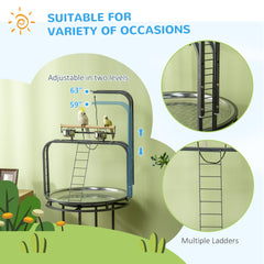 PawHut Parrot Stand Large Bird Perch Stand with Toy Hook & 3 Ladders, Parrot Perch, Bird Wooden Stand, Gray