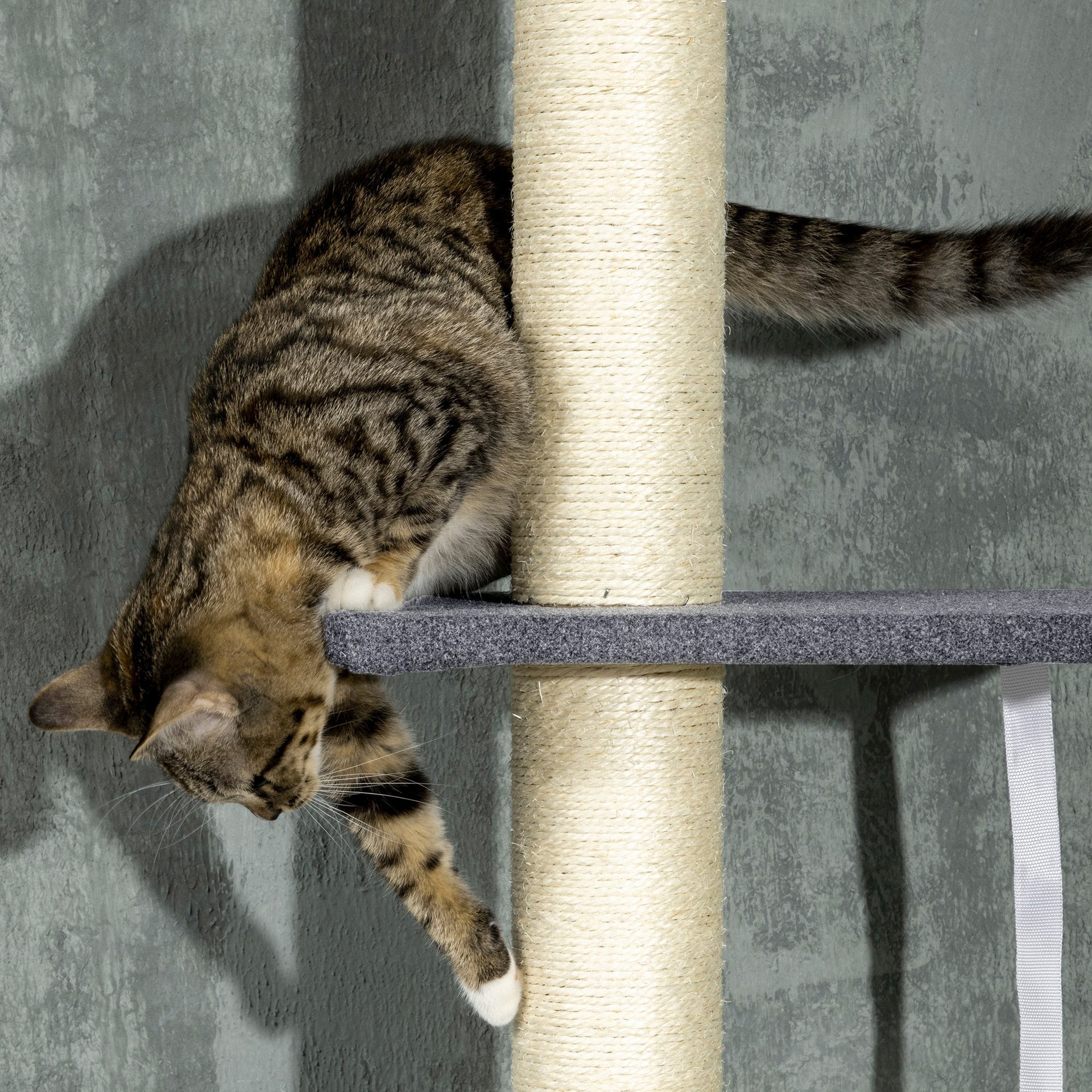 PawHut Floor To Ceiling Cat Tree, 5-Tier Cat Climbing Tower, 95''-106'' Height Adjustable with Carpeted Platforms, Cozy Bed, Hammock, Scratching Post & Toy Ball for Indoor Cats, Dark Gray and Cream
