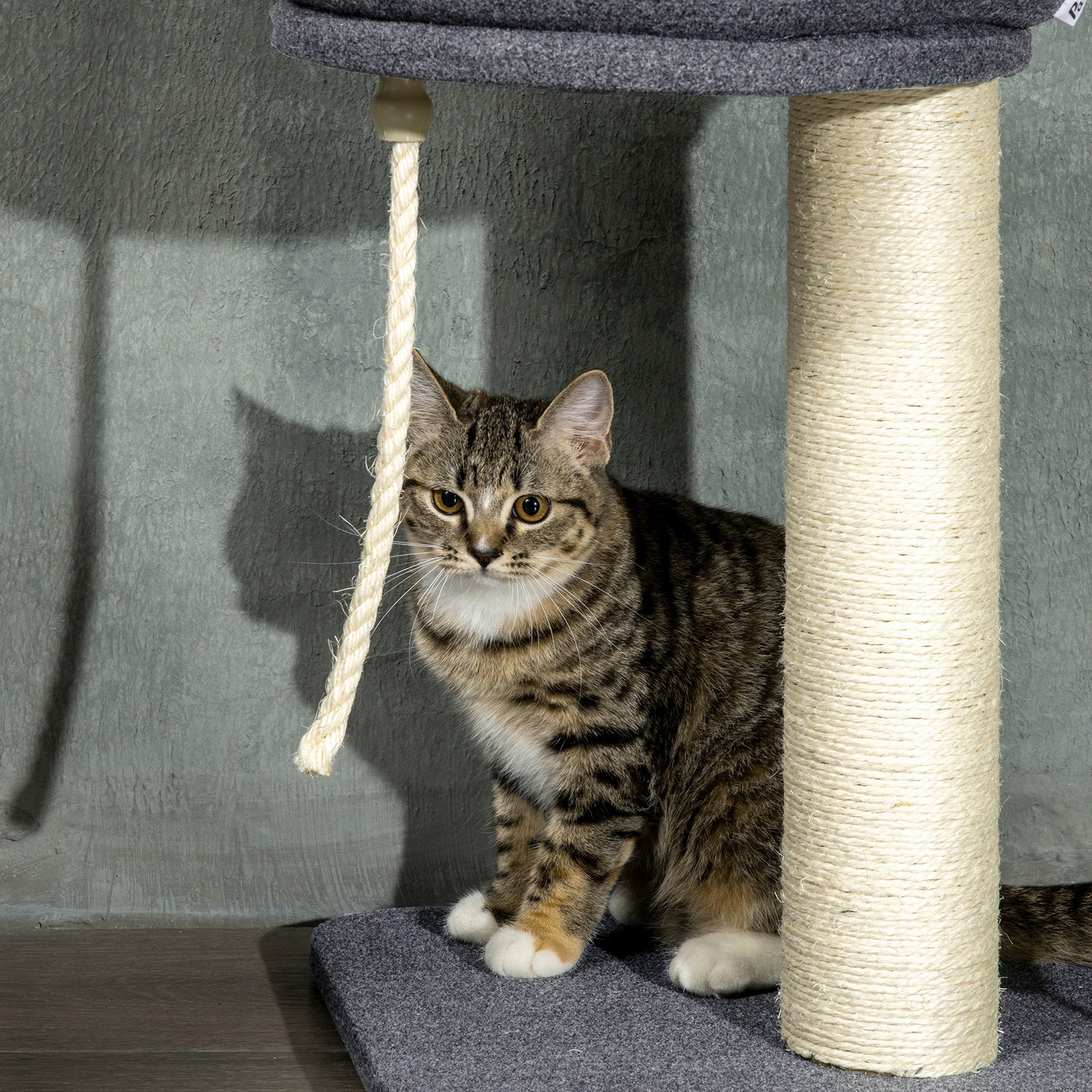 PawHut Floor To Ceiling Cat Tree, 5-Tier Cat Climbing Tower, 95''-106'' Height Adjustable with Carpeted Platforms, Cozy Bed, Hammock, Scratching Post & Toy Ball for Indoor Cats, Dark Gray and Cream