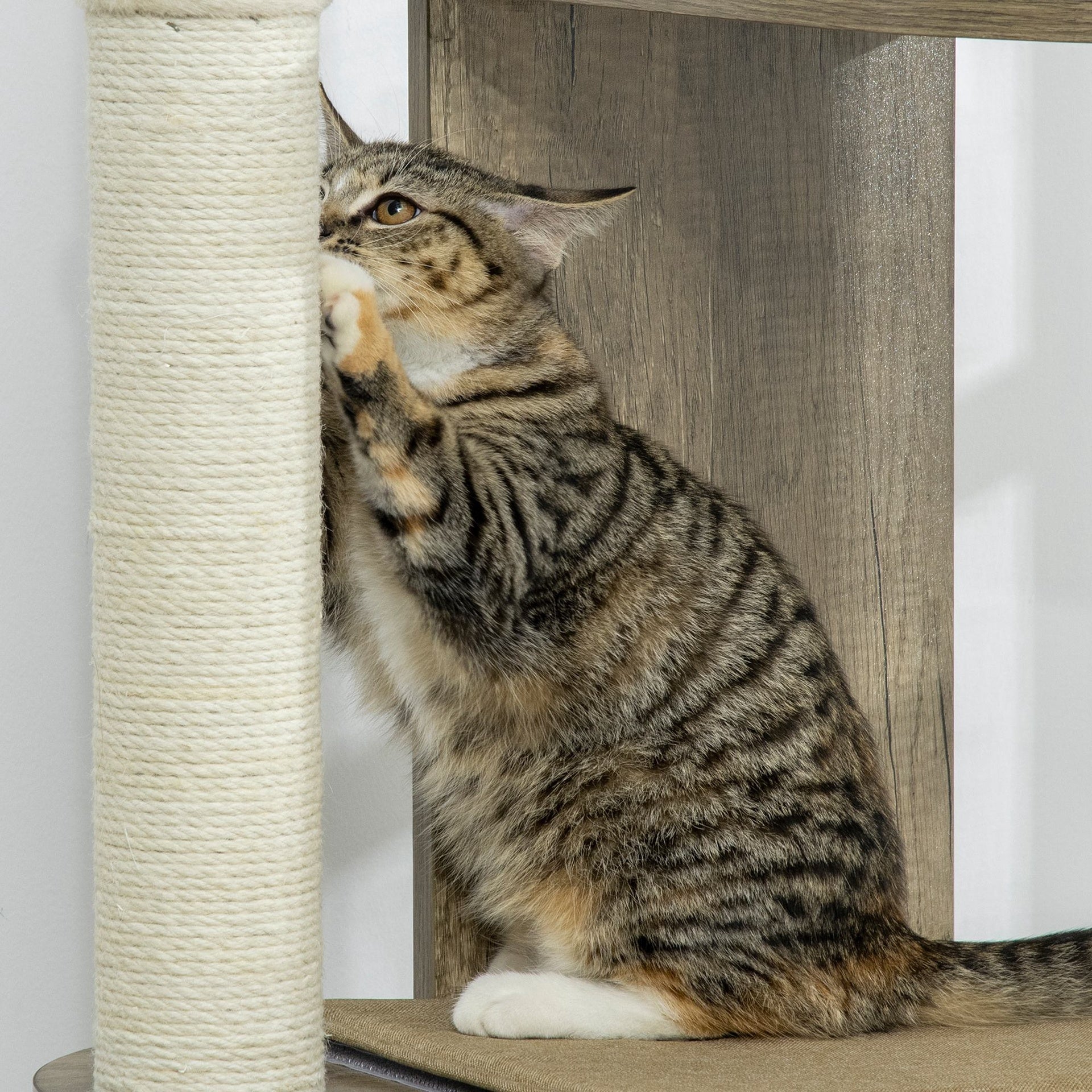 PawHut 65" Corner Modern Cat Tree Tall for Climbing, Large Multilevel Cat Tower with Scratching Posts, Small-Fit Kitten Tower with Sisal, Cream White