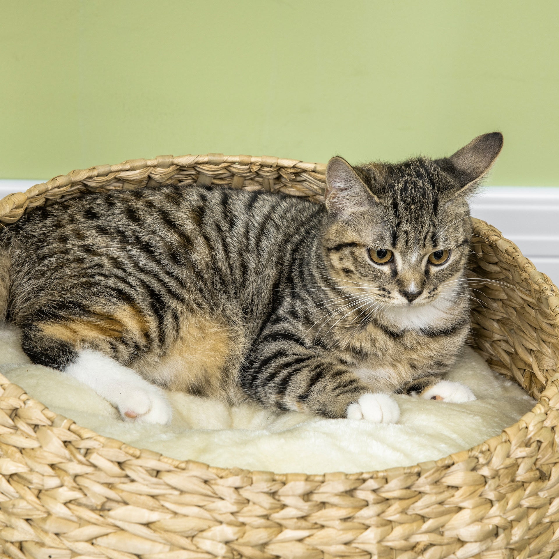 PawHut 28" Elevated Cat Bed with Sisal Scratching Post for Indoor Kitties, Modern Cat Tree with Cute Basket Design, Small Cat Tree with Fun Ball Toy