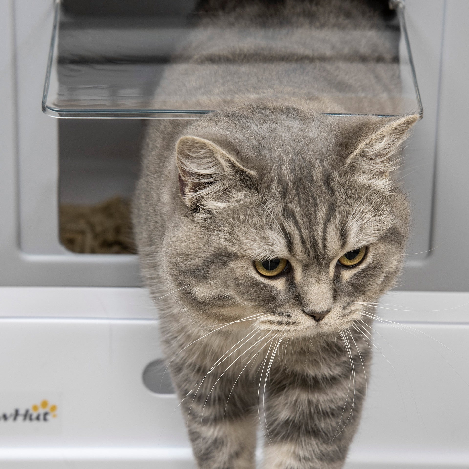 PawHut Fully Enclosed Cat Litter Box with Front Entry and Top Exit, Plastic, Gray & White