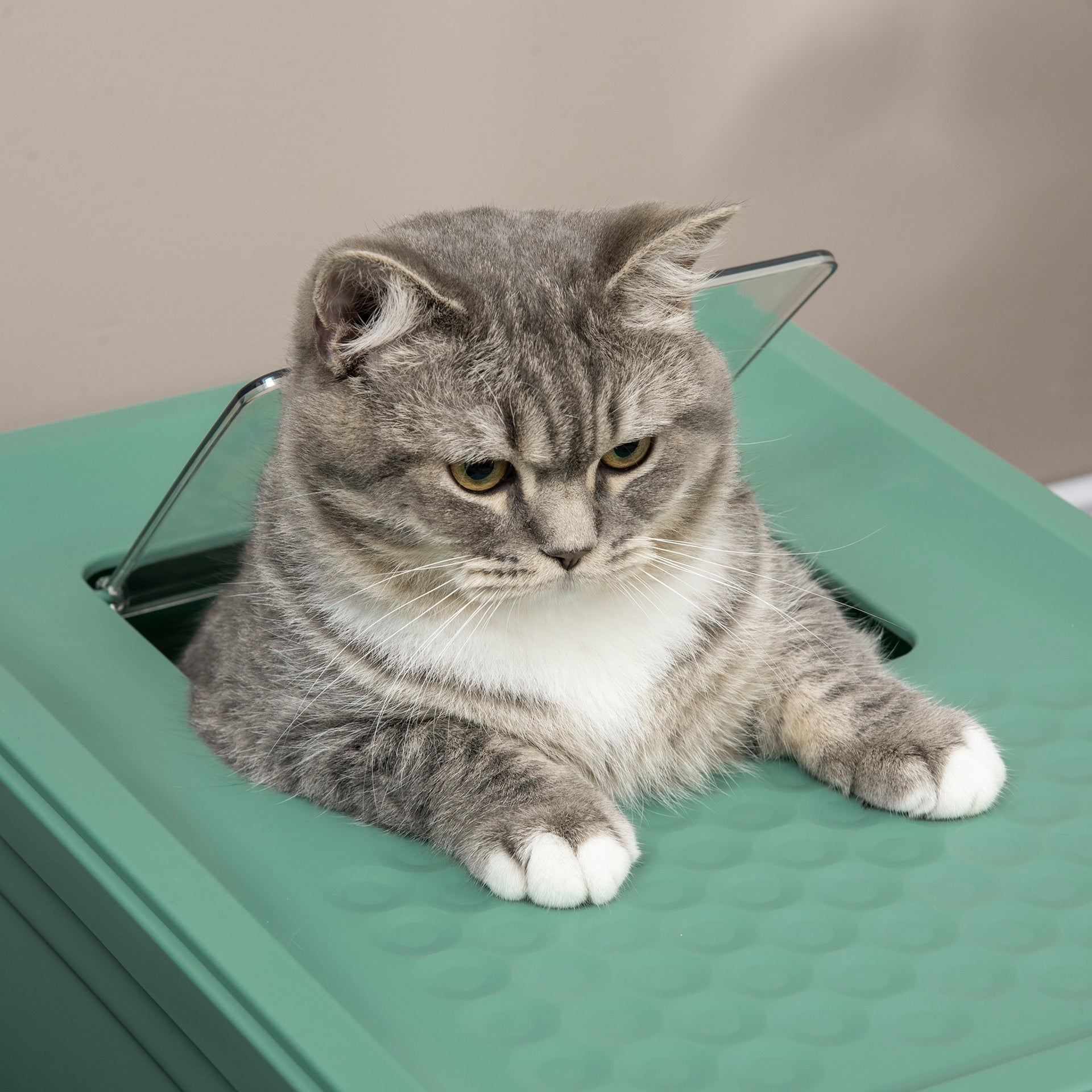 PawHut Fully Enclosed Cat Litter Box with Front Entry and Top Exit, Plastic, Green & White