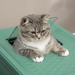 PawHut Fully Enclosed Cat Litter Box with Front Entry and Top Exit, Plastic, Green & White