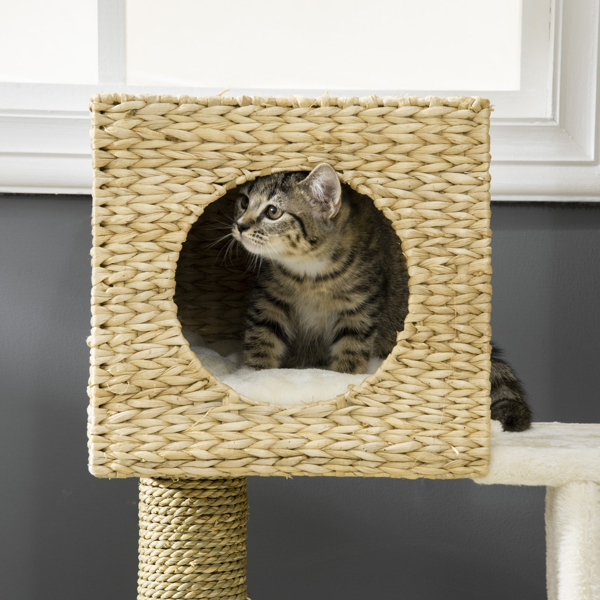 PawHut Cattail Weave Cat Tree for Indoor Cats Kitty Tower with Rattan Cat Condo, Wicker Bed, Ladder, Washable Cushions, 22.5" x 14.5" x 39.5", Natural