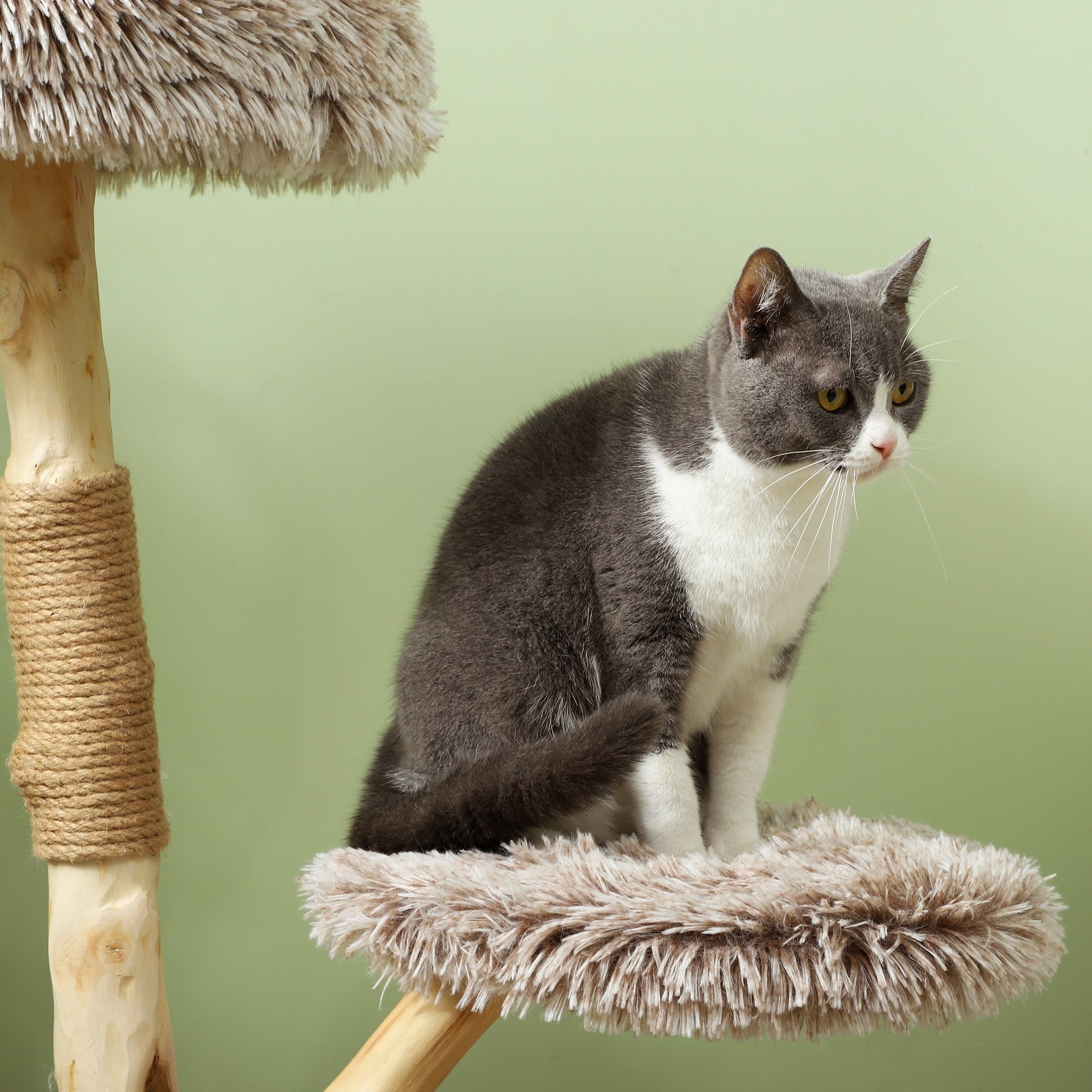 PawHut 35 Inch Modern Cat Tree for Indoor Adult Cats with Wooden Scratching Posts, Cat Bed & Rope Cat Toy, Brown