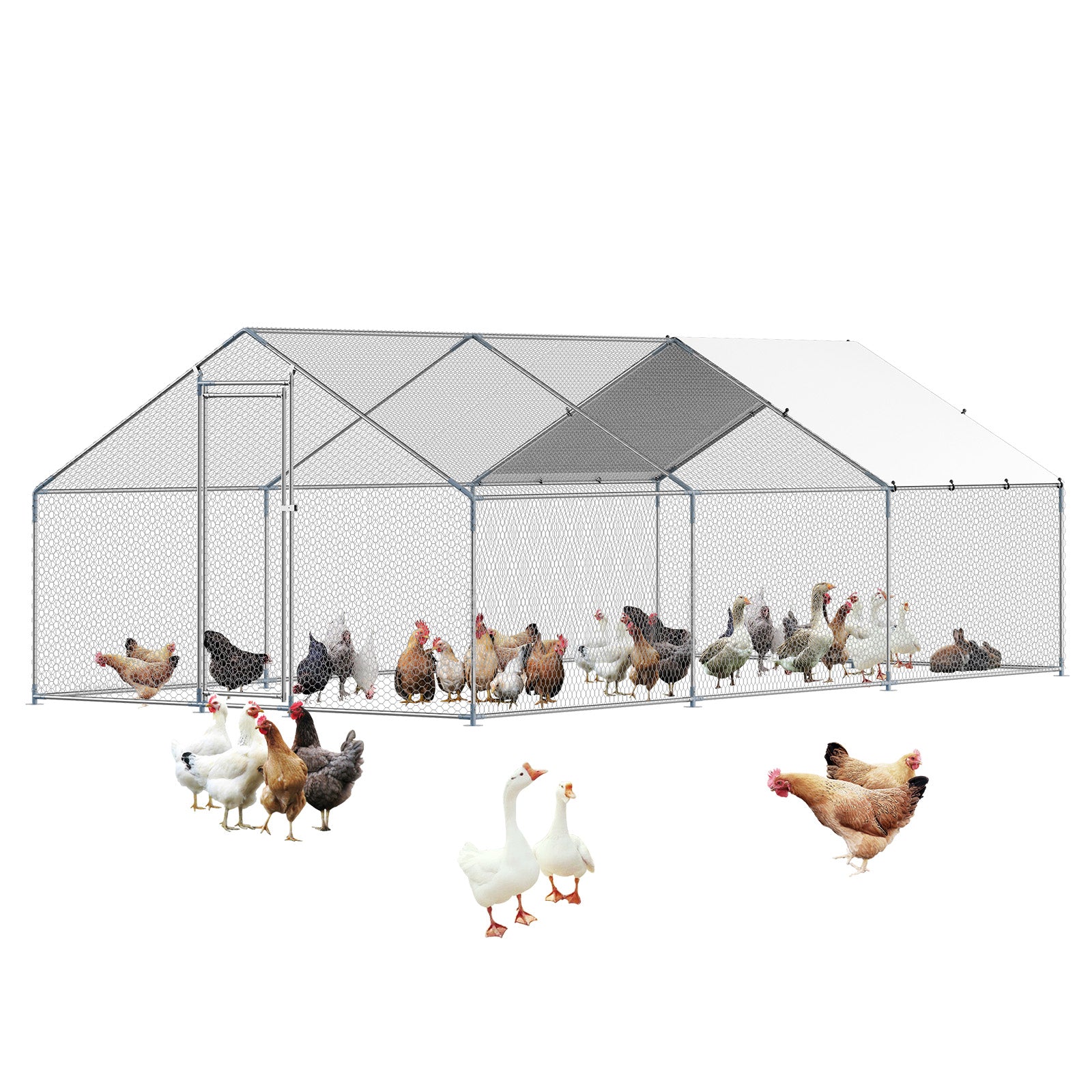 Metal Chicken Coop 9.8x19.6x6.5 ft Walk-in Chicken Run with Cover Spire Roof