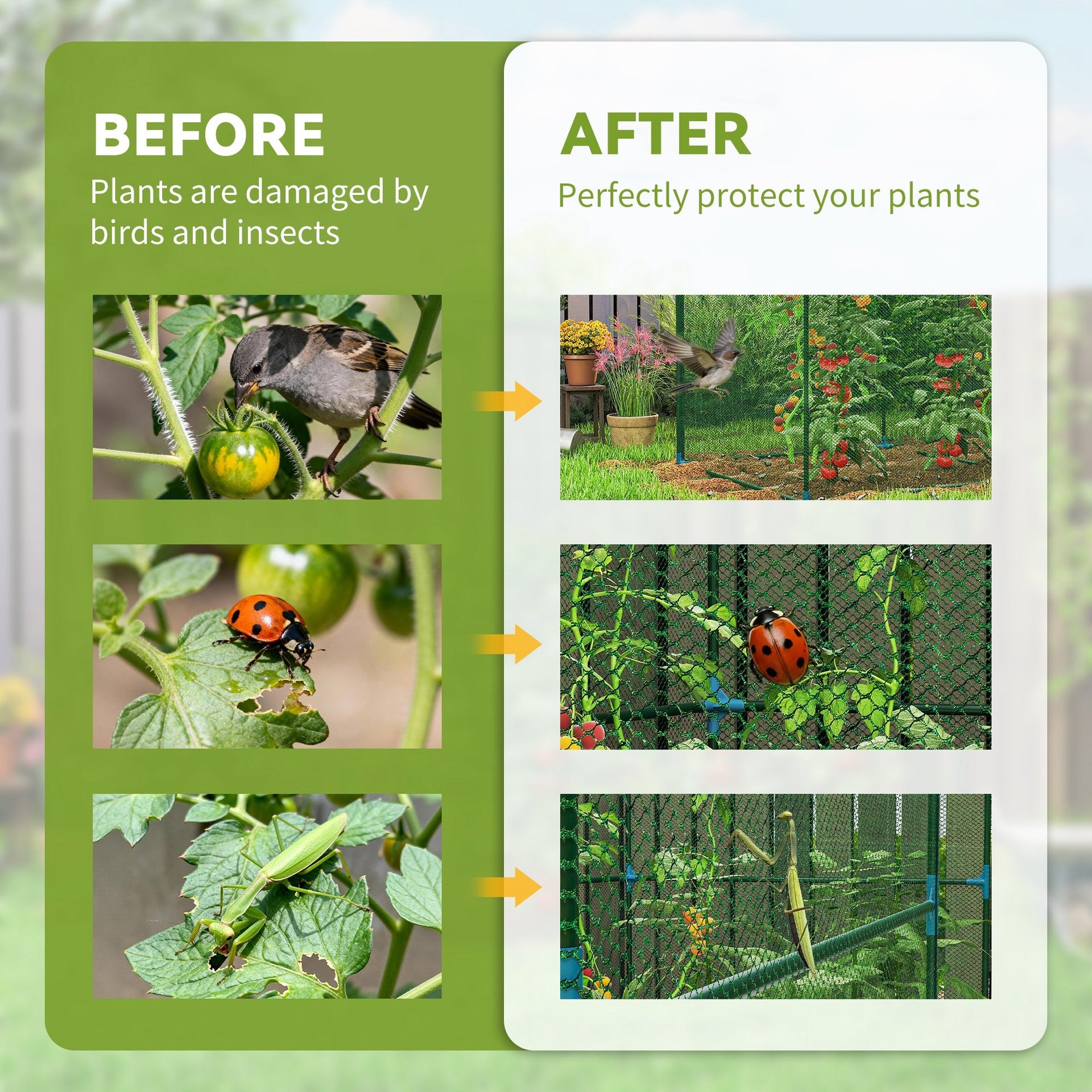 Outsunny Walk-in Crop Cage, Plant Protectors from Animals with Roll Up Zippered Door, 7.9' x 3.9' x 6.1', Green