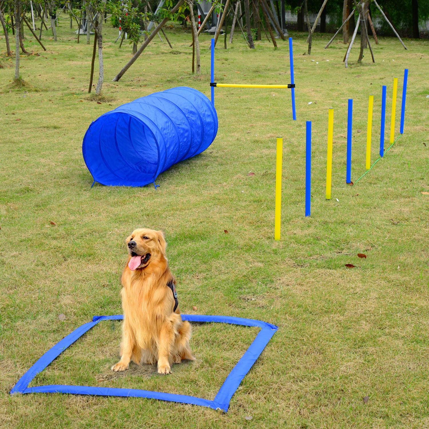 PawHut Backyard Competitive Dog Agility Training Kit Obstacle Course Equipment