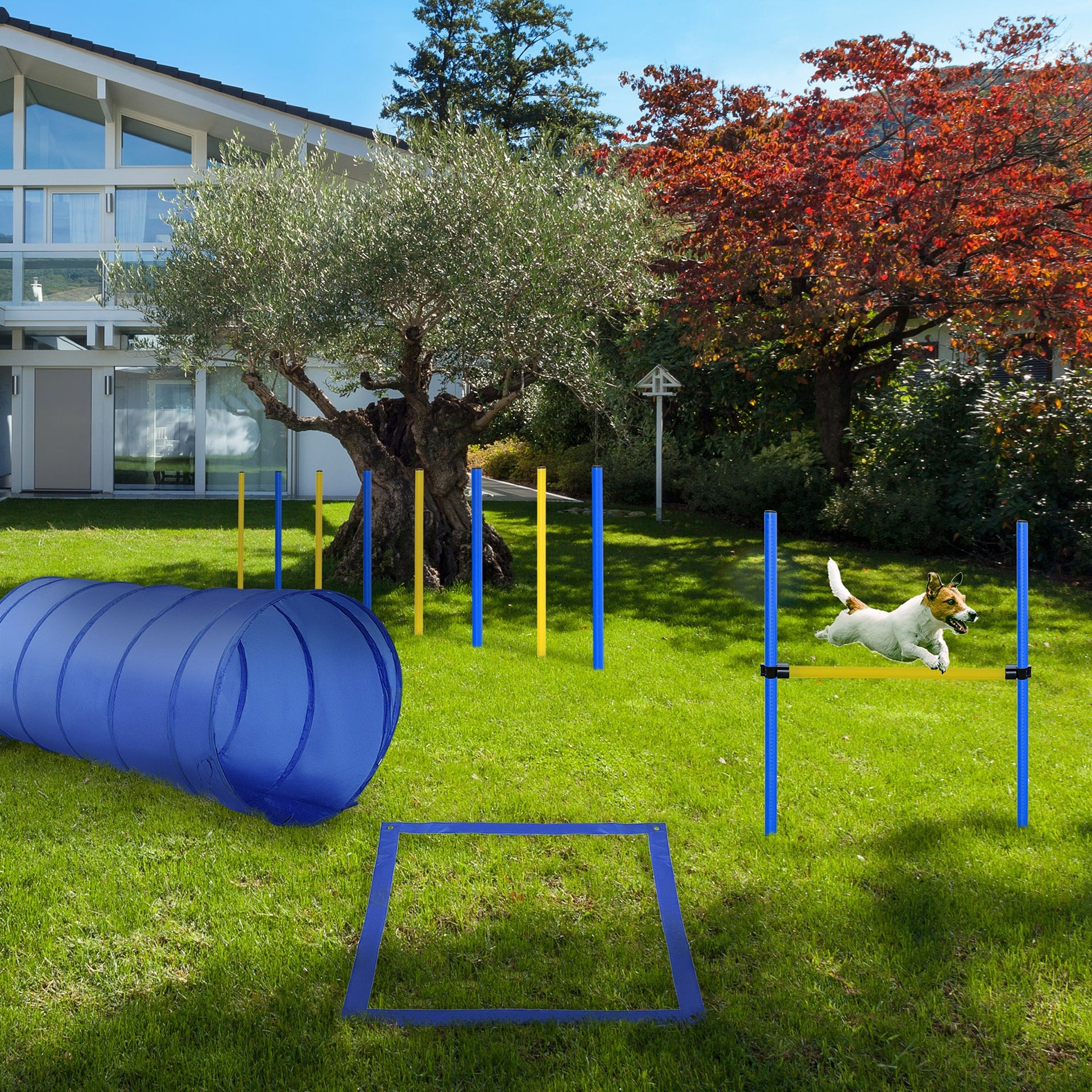 PawHut Backyard Competitive Dog Agility Training Kit Obstacle Course Equipment