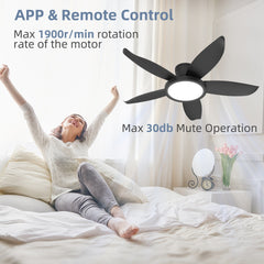 42-inch Eye-Protection Light Source Black Fan Blades High Airflow Plug-in Fan Blades ABS Plastic Fan Blades Ceiling Fan Light