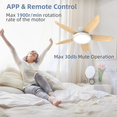 42-inch eye-friendly light source Woodgrain finish blades High airflow Insert blades ABS plastic blades ceiling fan light
