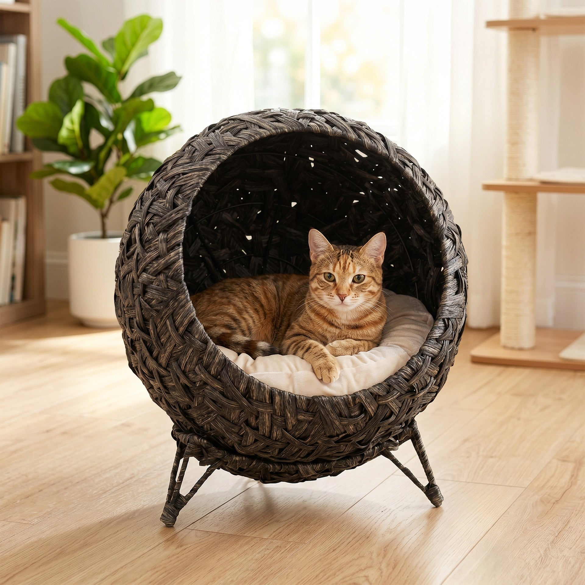 PawHut Rattan Cat Bed, Elevated Handwoven Cat Basket Bed with Soft Cushion and Metal Base