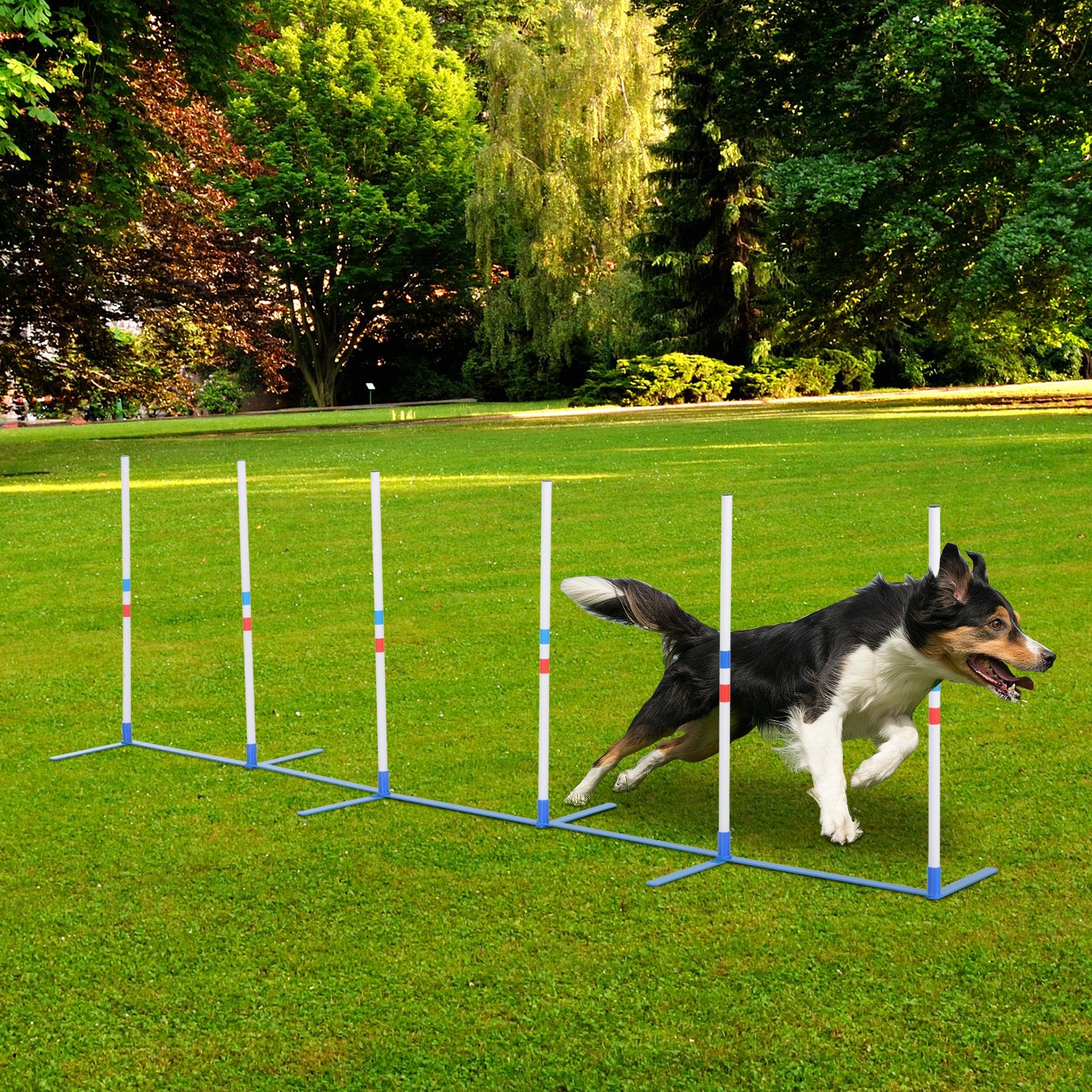 PawHut Dog Agility Equipment Dog Weave Pole Set Agility Starter Kit Pet Outdoor Exercise Training Set