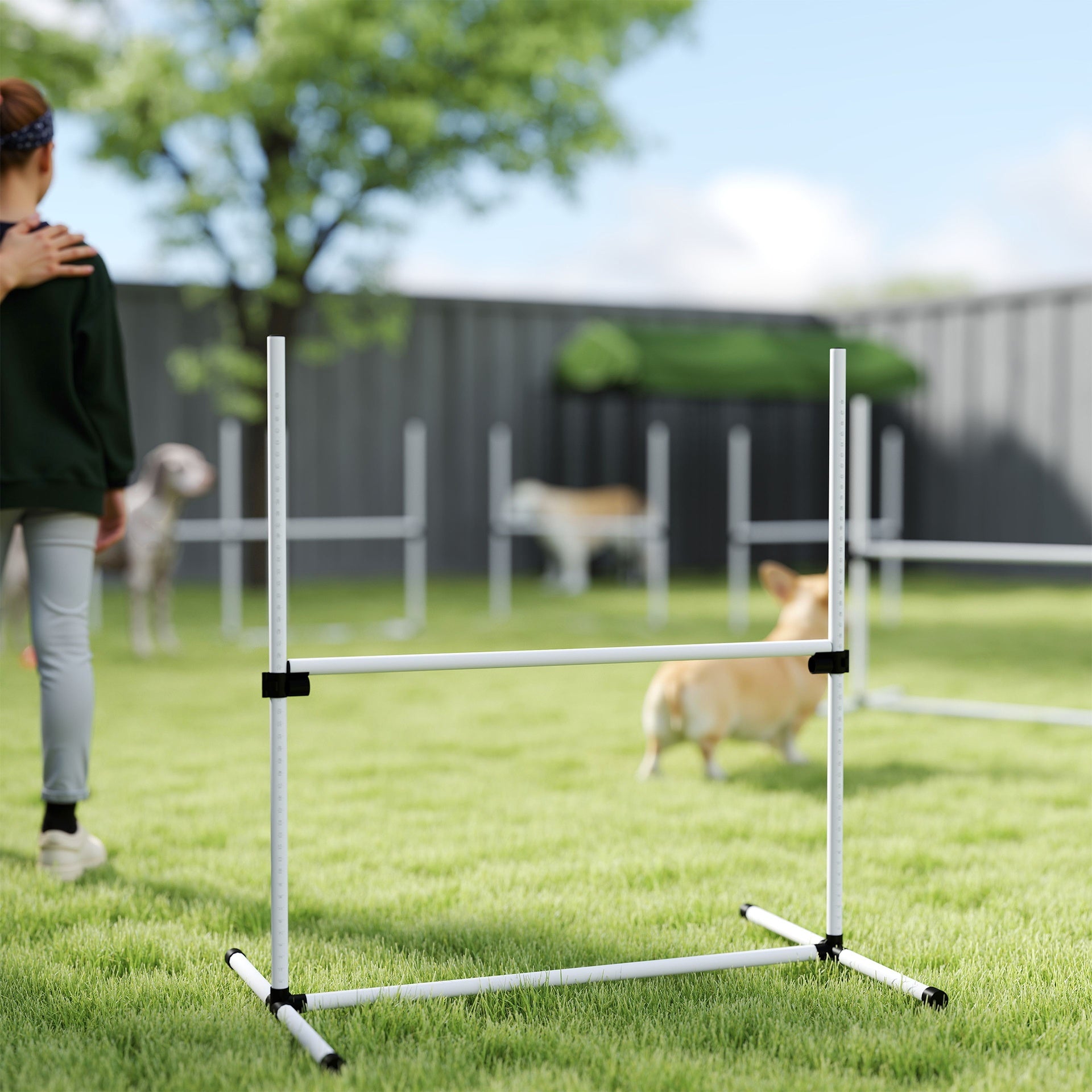 PawHut 6 Piece Dog Agility Set with Adjustable Height Jump Bars, Carry Bag, Displacing Top Bar, White