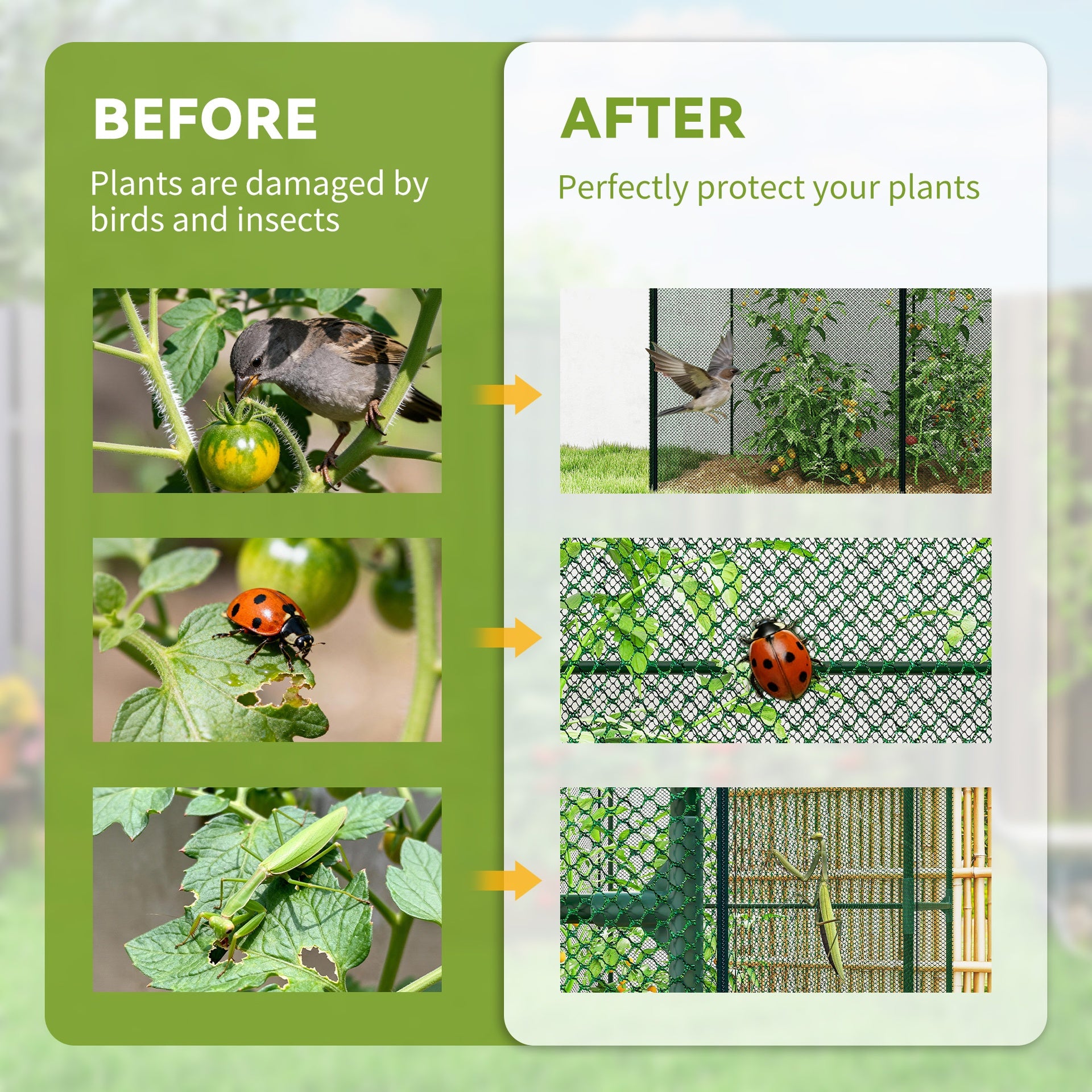 Outsunny 6' x 4' x 6' Crop Cage, Plant Protection Tent with Zippered Doors for Vegetable Garden, Backyard, Green