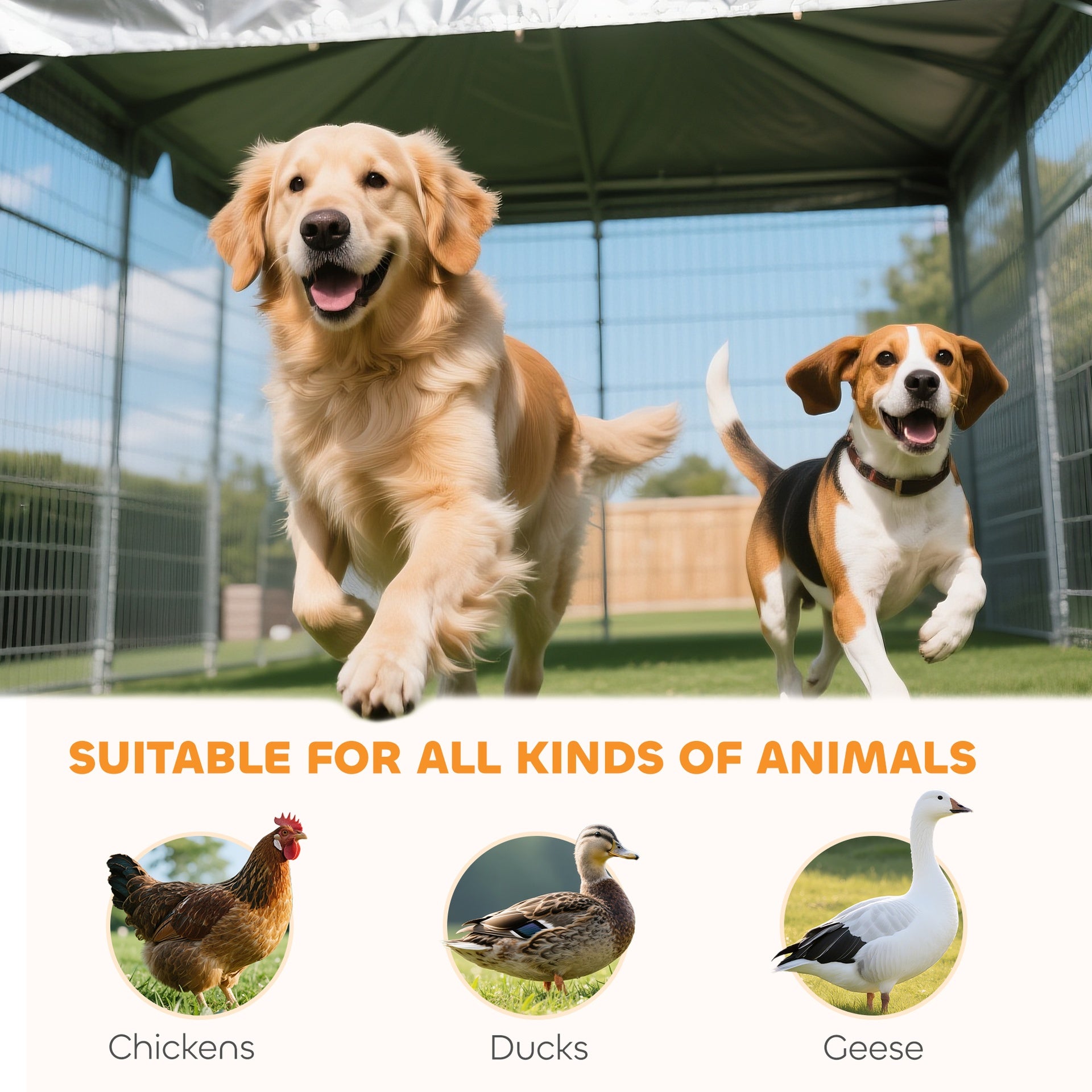 PawHut Large Outdoor Dog Kennel with 2 Rooms, Rotating & Adjustable Height Bowls, Waterproof & UV-Resistant Canopy