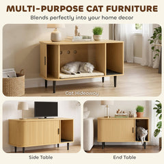 PawHut Cat Litter Box Enclosure with Sliding Door, Litter Mat, Modern Cat House, TV Stand, Side End Table for Living Room