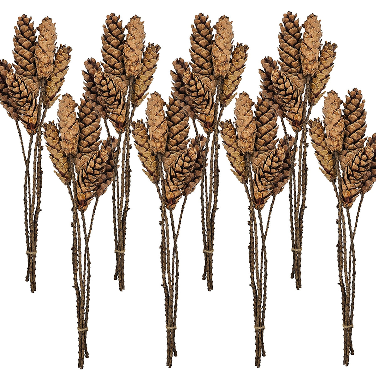 Set of 8, 23.5"  5Pcs/Bunch Strobus Pine Twig Stem