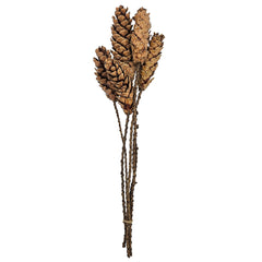 Set of 8, 23.5"  5Pcs/Bunch Strobus Pine Twig Stem