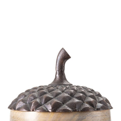 Set of 2 Brown Wooden Acorn Accents with Aluminum Top, L:D6x10"  S:D5x7.5"