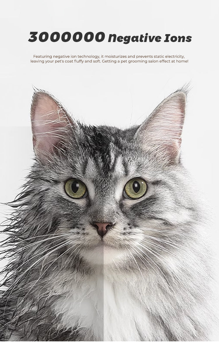 Pet Dryer Room for Cats & Dogs, Cream White