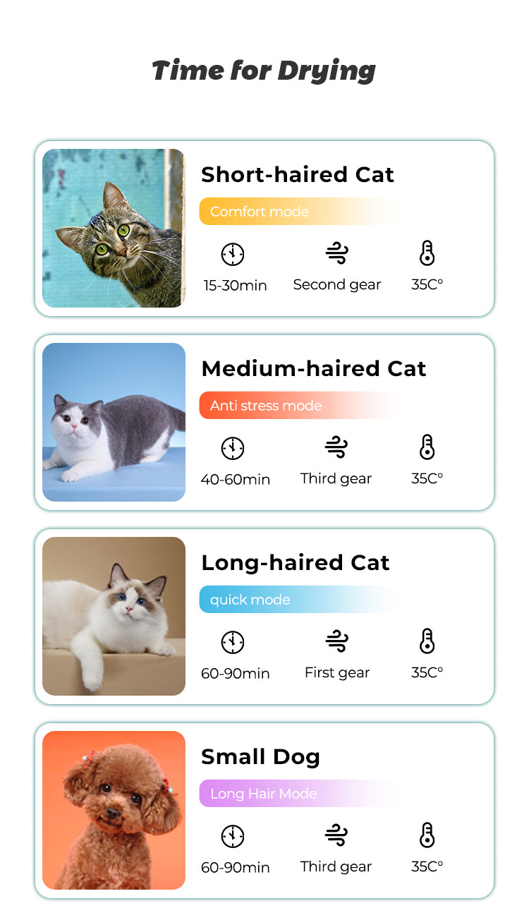 Pet Dryer Room for Cats & Dogs, Cream White