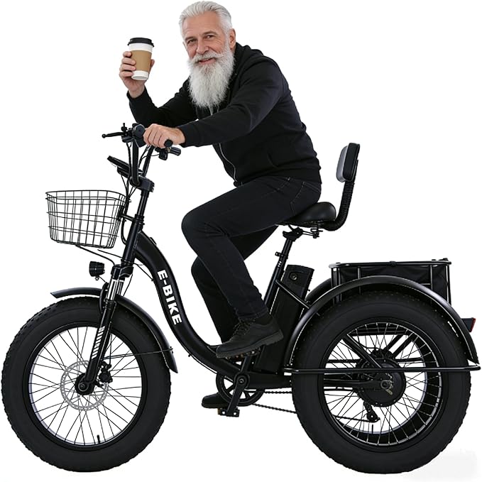 Folding Electric Tricycle