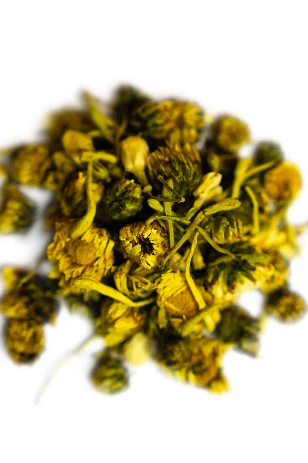 Honeysuckle Jasmine Chrysanthemum Herbal Tea