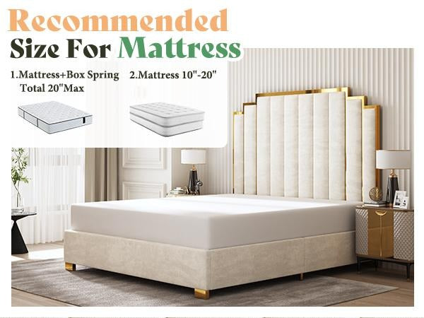 AMERLIFE Bed Frame with 65" Headboard, Upholstered Platform Bed with Golden Plating Trim, Modern Luxury Bed Frame, No Box Spring Needed/No Mattress/Queen/King//Unique Bedroom Furniture/Best Gift Ideas/Christmas Gifts
