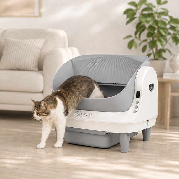 Gulupet Mega Pro Smart Cat Litter Box
