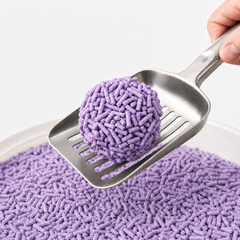 A close-up of a purple cat litter ball held on a stainless steel scoop, with more purple litter pellets visible in a bowl and a hand holding the scoop handle against a clean white background.